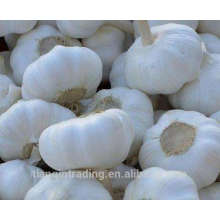 buy 2017 new crop chinese white pure frozen garlic